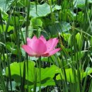 세운약국 이미지