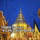 여행 영어(야간) | 태국 치앙마이 야간 도이수텝 왓우몽사원 마이리얼트립 내돈내산 후기