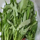 처음농장 이미지