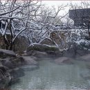 해도올 | "진짜 아무것도 안 해도 돼요?" 수안보 유원재에서 경험한 완벽한 올 인클루시브 휴식 후기