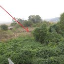 답내1리  마을회관 이미지