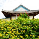 꽃과 한옥 이미지