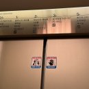 스타 파라다이스 투어 이미지