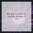 행복가득한공인중개사사무소 | 꺄! 수원 투룸, 로망 가득한 나만의 공간 만들기 계약 성공 비법 공유해요