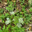 여궁 휴게소 화장실 | 명산 77번째 도전 주흘산 : 문경새재도립공원내 주흘산 주봉 제1코스 최단코스 왕등린이 산행후기 23.10.09