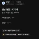 썸남 월급이 290이야.jpg 이미지