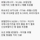 도그 인 시티 이미지