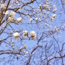 칠산마을회관 이미지