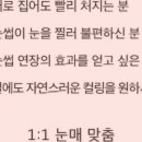 인생눈썹 이미지