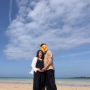 5월 제주 여행 3박4일 day 1~2 w.아시아나 임산부 우대, 신라호텔, 우도, 몽탄
