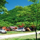 동아오토 이미지