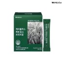 로리아 쇼핑하우