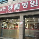 가온동물병원 이미지