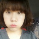 국수나무효자 이미지