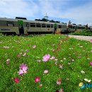 기차길옆 이미지