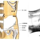 대맥혈GB26 대맥(帶脈 2개 혈) : 足少陽經與帶脈之會穴. 帶要痛의 要穴. 帶脈起始穴 이미지