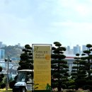 우리들공원정문점 | 부산 남구 겹벚꽃 개화! “유엔기념공원” ft. 75주년 특별전!