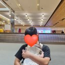 복동이숯불구이 | [창원/중앙동] 롯데백화점 6층 식당가 신상 밥집 / 일식당 '고담' 내돈내산 후기 / 아기랑 외식