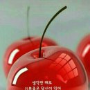 청학로학교길 네이버블로그