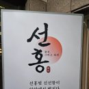 선홍이네 | 신사역 회 분위기 좋은 이자카야 선홍 후기
