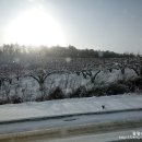 버스정류장_나주시청 이미지