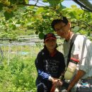 가야농원 이미지