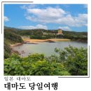 부산에서 대마도 당일여행 패키지 팬스타 쓰시마링크호 당일배편 후기