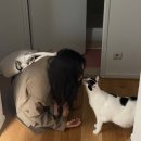 더좋은나이스주상복합 | 파리 한인민박 불로뉴 레지던스 내돈내산 후기! 파리 가성비 숙소로 괜찮았던 이유 5가지