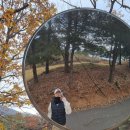 지산 퍼블릭 | 지산 퍼블릭 9홀 노캐디 노카트로 두 바퀴 돈 후기