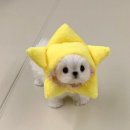 별난구이 | 인천 만수동 곱창 맛집 별난곱창 생막창구이 후기