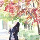 백봉초등학교 이미지