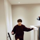 담정