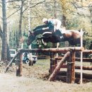 스티븐스포츠아카데미센터 이미지