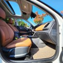 더뉴카렌트카 이미지