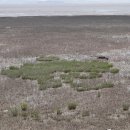 대부해솔길 4코스 이미지