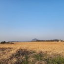 항구네식당
