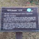 숲속작은나라 이미지