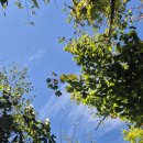 벽산홈마트 이미지