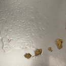 와구와구 | 와구와구 베이커리 빵과 두쫀쿠 후기