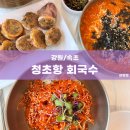청초항회국수 | [강원/속초] 청초항 회국수 / 내돈내산 속초 회국수 후기
