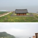 동백쉐이리 이미지