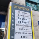 한사랑 | 부천 신중동 고양이카페 묘한사랑 후기｜유기묘 카페·중동 이색데이트 추천