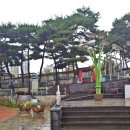 보슬비를 맞으며 꽃밭 구경, 햇빛을 받으미 부처님을 알현하다! - 증평군 보강천 인삼골축제장 꽃밭 外, 청주시 동화사를 돌아나오다~ 이미지