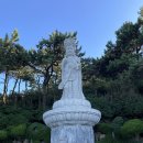 보문사약수터 | [부산] 해동용궁사 : 소원을 하나 이뤄주는 절, 부산 가볼만한 곳