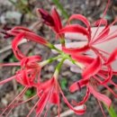 무등골한우식육식당 이미지