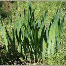 오륜대로 이미지