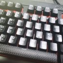 수원-0036 이미지