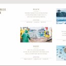 소유 오시리아 이미지