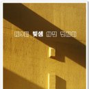 빛샘