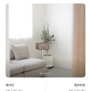 율리지 두번째
